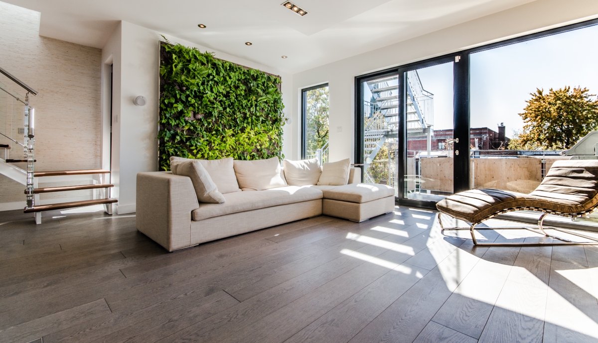 Chene_Blanc_gris_argenté